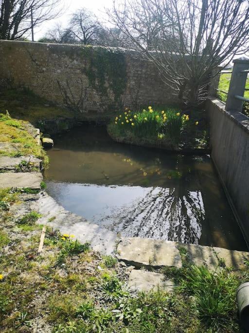 Gite Spacieux Et Chaleureux Sainte-Mère-Église Exteriér fotografie